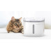 Поилка-фонтан для кошек и собак Petoneer Fresco Mini (FSL020)
